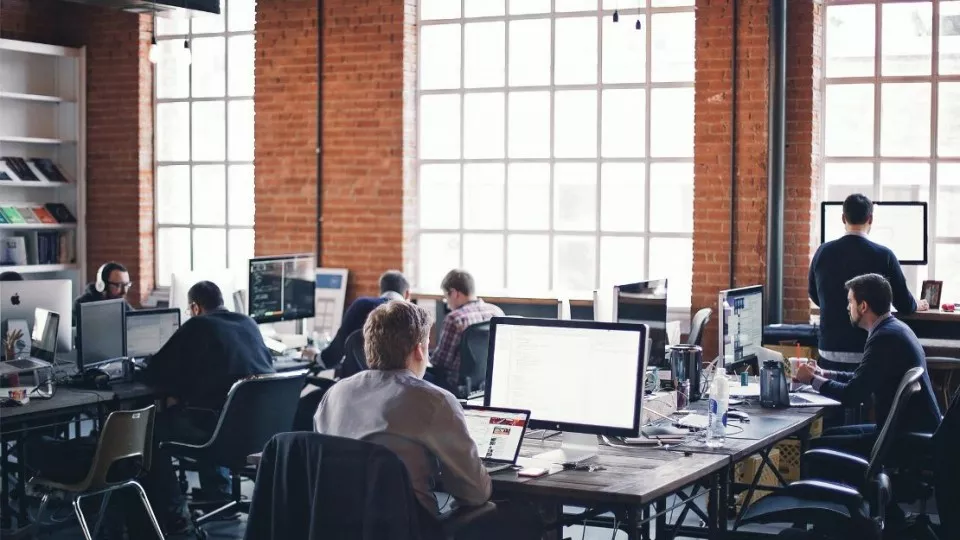 Как выбрать веб-студию в Сертолово по кейсам