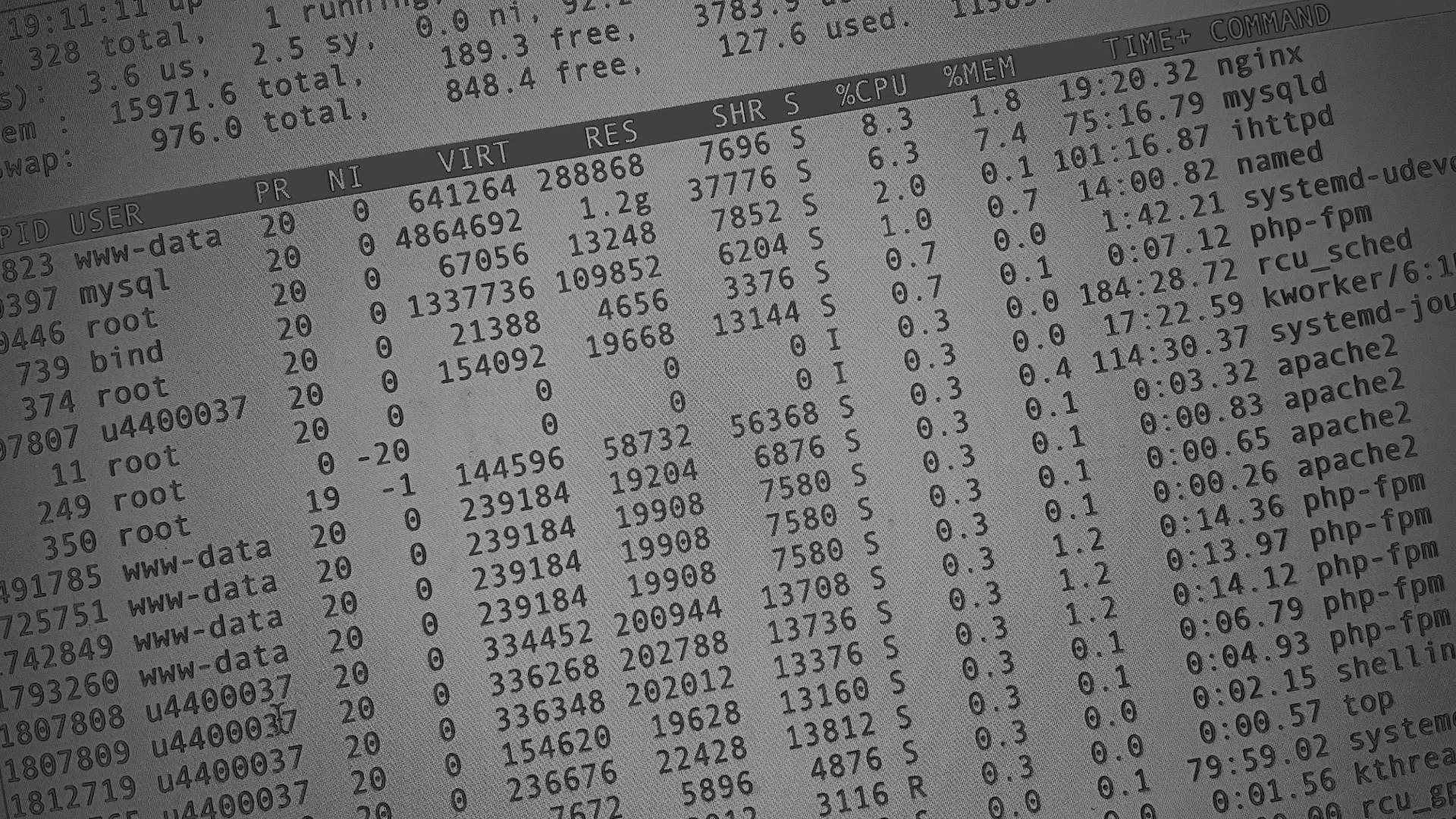 Настройка сервера в Сертолово